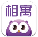 243次扣籃！字母哥領跑上賽季扣籃榜！戈貝爾&杜倫分列二三位！